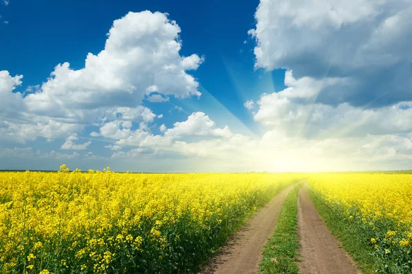 Straße in gelbem Blumenfeld, schöne Frühlingslandschaft — Stockfoto