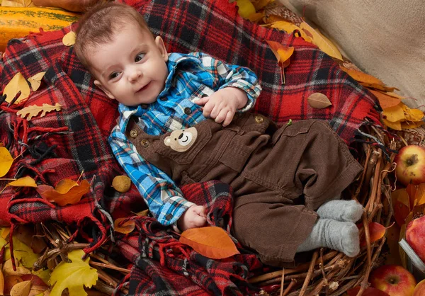 Niño se acuesta en tartán a cuadros con hojas amarillas de otoño, manzanas, calabaza y decoración, temporada de otoño — Foto de Stock