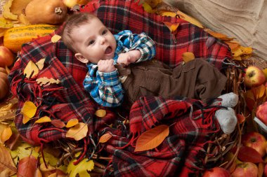 çocuk çocuk yalan üzerine tartan ekose sarı sonbahar yaprakları, elma, kabak ve Dekorasyon, sonbahar sezon