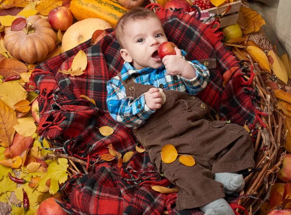 Niño se acuesta sobre cuadros de tartán rojo con hojas amarillas de otoño, manzanas, calabaza y decoración, temporada de otoño — Foto de Stock