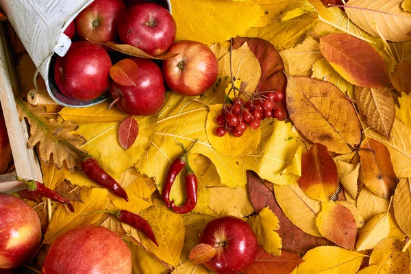 Autumn background from yellow leaves, apples, pumpkin. Fall season, eco food and harvest concept — Stock Photo, Image