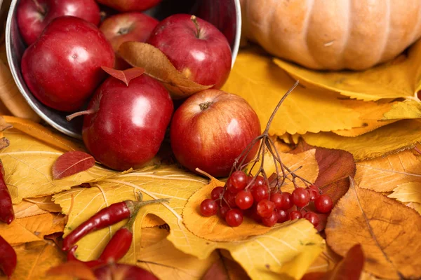 Autumn background from yellow leaves, apples, pumpkin. Fall season, eco food and harvest concept — Stock Photo, Image