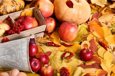 Sarı yapraklar, elma, kabak sonbahar kökenli. Sonbahar sezonu, çevre gıda ve hasat kavramı