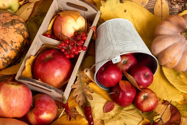 Autumn background from yellow leaves, apples, pumpkin. Fall season, eco food and harvest concept — Stock Photo, Image