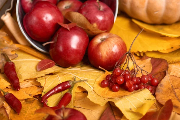 Autumn background from yellow leaves, apples, pumpkin. Fall season, eco food and harvest concept — Stock Photo, Image