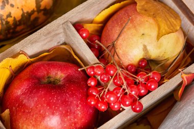 Elma ve düşen yapraklar arka planda, sonbahar mevsim meyveleri