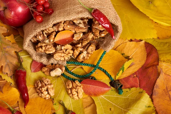 Bir çuval, meyve ve sebze düşen yapraklar arka planda, Sonbahar sezonu içinde fındık