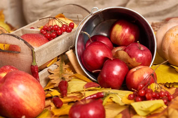 Frutas y hortalizas sobre fondo de hojas caídas, temporada de otoño — Foto de Stock