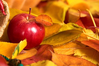 Apple closeup düşen yapraklar arka planda, sonbahar sezon