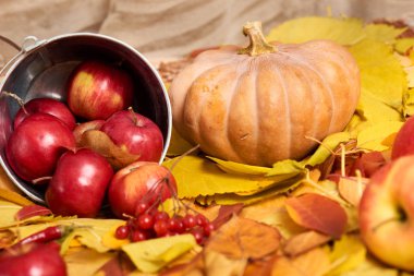 Meyve ve sebze düşen yapraklar arka planda, sonbahar sezon