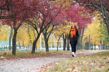 genç kadın yürüyüşüne patika sonbahar park, Sarı yapraklar ve ağaçlar