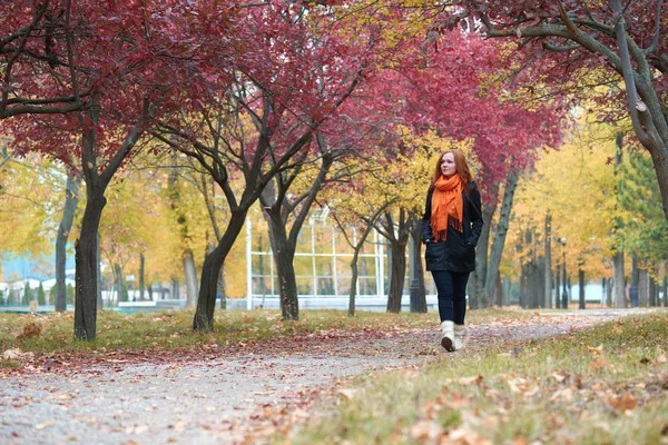 genç kadın yürüyüşüne patika sonbahar park, Sarı yapraklar ve ağaçlar