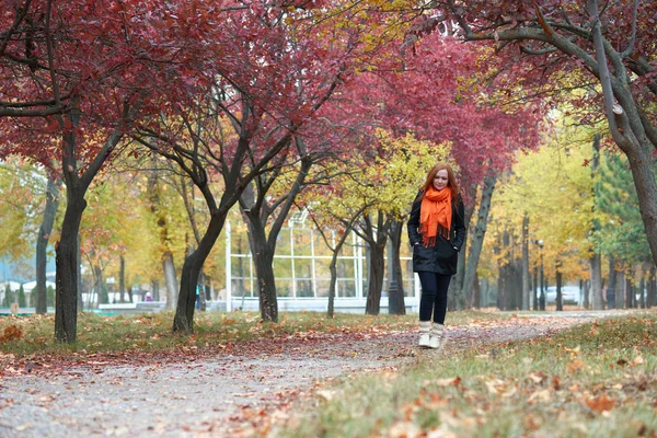 Jovem caminhe na trilha no parque de outono, folhas amarelas e árvores — Fotografia de Stock