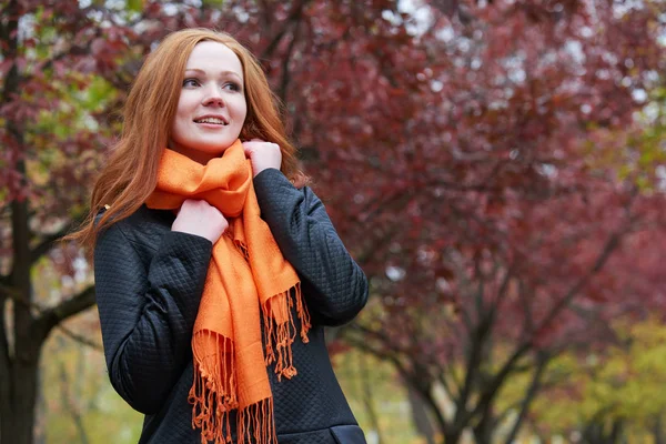 Young woman portrait in autumn park, yellow leaves and trees — Stock Photo, Image