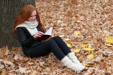 genç kadın ağaç sonbahar Park yakınındaki oturup kitap, sarı yaprakları okuyun