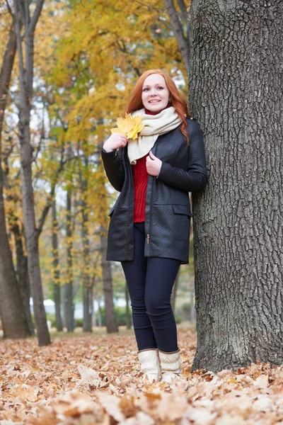 Young woman stand near tree in autumn park, yellow leaves — Stock Photo, Image