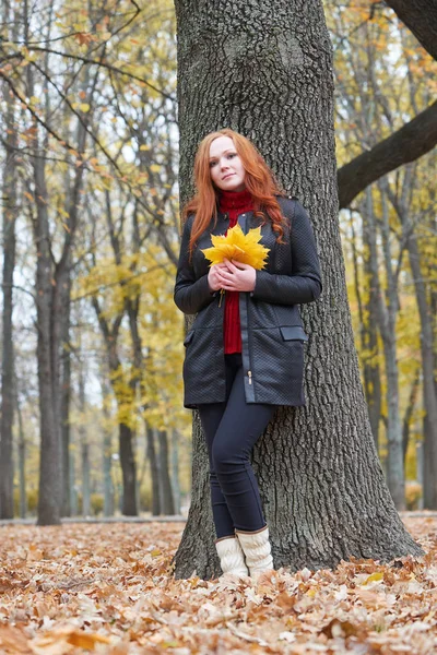 genç kadın stand sonbahar park, sarı yaprakları ağacında yakınındaki
