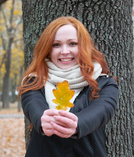 genç kadın ağaç sonbahar Park yakınındaki stand ve sarı yaprak vermek