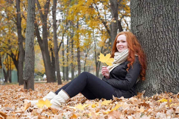 Joven sentada cerca del árbol en el parque de otoño, hojas amarillas — Foto de Stock