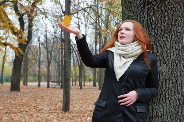 Mladá žena stát poblíž stromu v podzimním parku, žluté listy — Stock fotografie