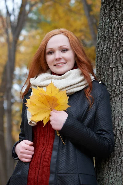 在公园，黄色秋叶树附近的年轻女人站 — 图库照片