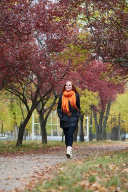 genç kadın yürüyüşüne patika sonbahar park, Sarı yapraklar ve ağaçlar