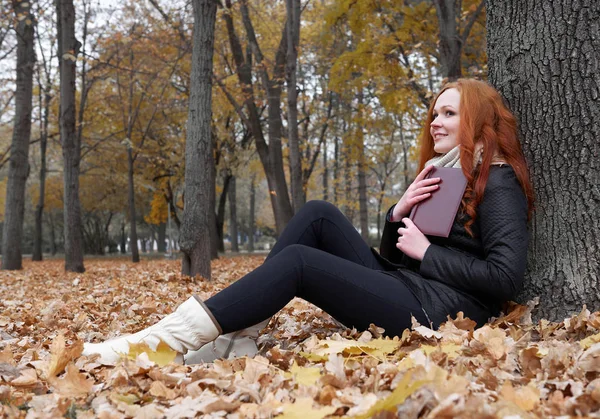 genç kadın kitap okumak, ağaç sonbahar Parkı sarı yapraklar oturmak