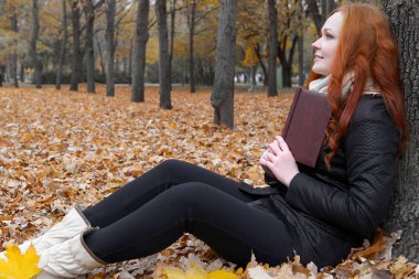 genç kadın kitap okumak, ağaç sonbahar Parkı sarı yapraklar oturmak