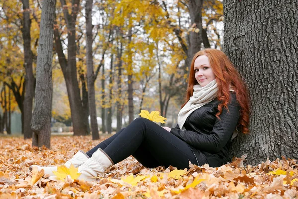 Молодая женщина сидит рядом с деревом в осеннем парке, желтые листья — стоковое фото