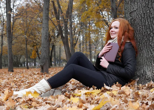 Young woman read book, sit on yellow leaves in autumn park near tree — Stock Photo, Image