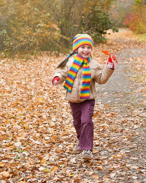 Child girl runs on a footpath in forest, autumn leaves background, fall season — Stock Photo, Image