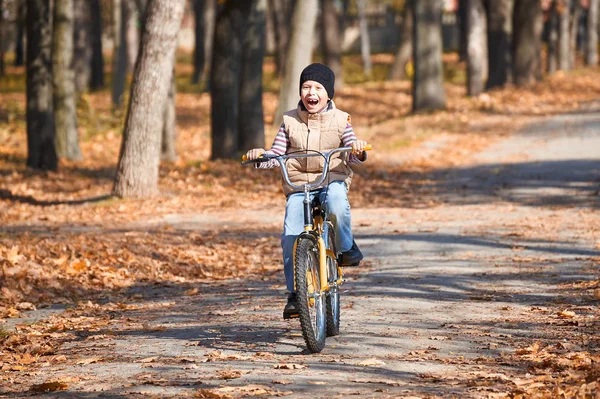 Мальчик на велосипеде, осенний городской парк, яркий солнечный день, опавшие листья на заднем плане — стоковое фото