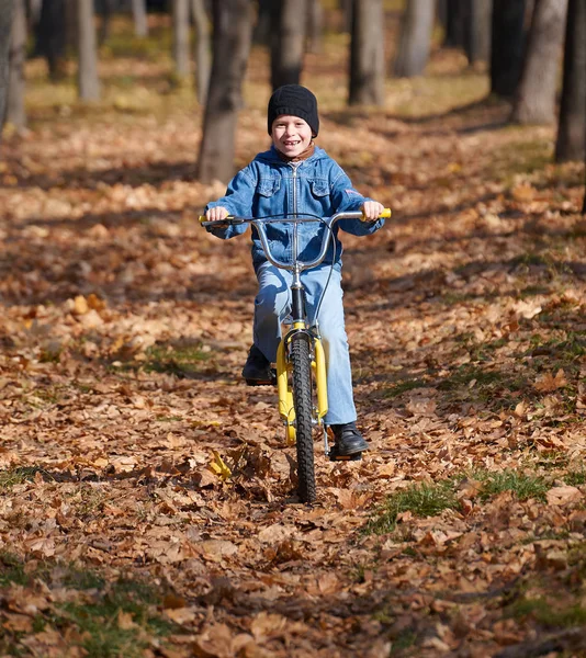 Çocuk bisiklet, sonbahar Şehir Parkı, parlak güneşli bir günde, düşen yapraklar arka plan üzerinde sürme — Stok fotoğraf