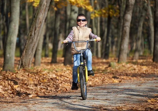 Junge reitet auf Fahrrad im Herbstpark, strahlender sonniger Tag, umgefallenes Laub im Hintergrund — Stockfoto
