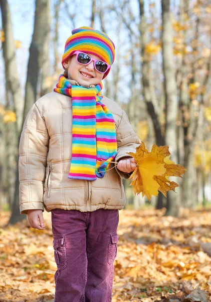 Barn flicka stående i skogen, hösten löv bakgrund, höstsäsong — Stockfoto