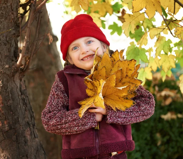 Niña en el bosque de otoño posando, hojas amarillas y árboles en el fondo — Foto de Stock