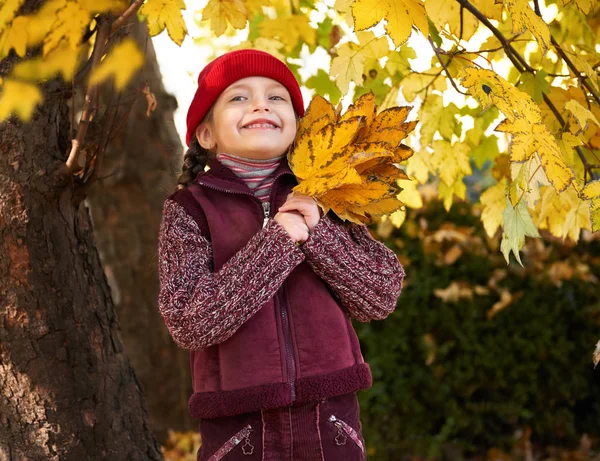 Dziewczyna w jesień las pozowanie, żółte liście i drzewa na tle — Zdjęcie stockowe