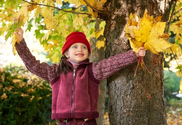秋の森のポーズ、黄色の女の子の葉し、背景の木 — ストック写真