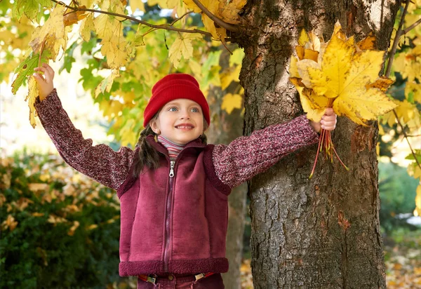 Menina no outono floresta posando, folhas amarelas e árvores no fundo — Fotografia de Stock