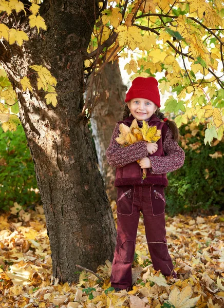 Flicka i höst skogen poserar, gula blad och träd på bakgrund — Stockfoto