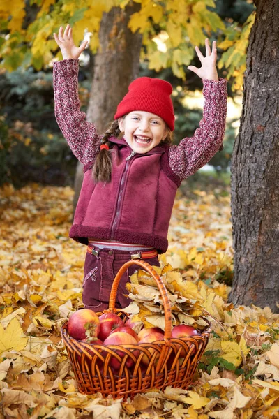 Niña feliz con cesta de manzana en posando bosque de otoño, hojas amarillas y árboles en el fondo —  Fotos de Stock