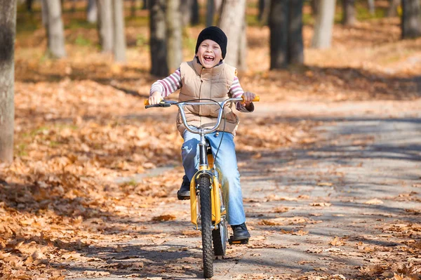 Bambino ragazzo a cavallo in bicicletta in autunno Parco, luminosa giornata di sole, foglie cadute sullo sfondo — Foto Stock