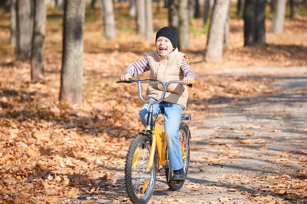 在秋天公园，阳光灿烂的日子，落叶在背景上的骑自行车的男孩 — 图库照片