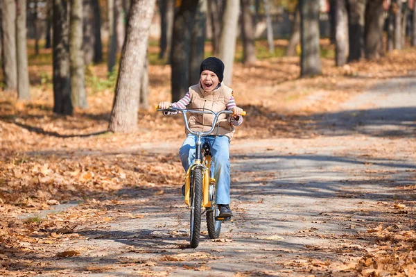 少年の秋公園、明るく晴れた日、背景の落ち葉で自転車に乗って — ストック写真