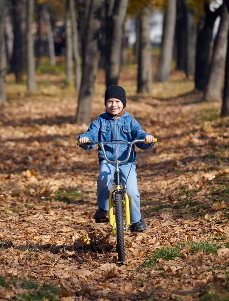 Menino andando de bicicleta no outono Parque, dia ensolarado brilhante, folhas caídas no fundo — Fotografia de Stock