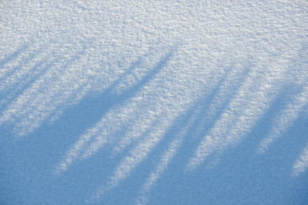 Sneeuw met schaduwen textuur of achtergrond op zonnige dag, fel licht, plat lag, top uitzicht, schoon en niemand — Stockfoto