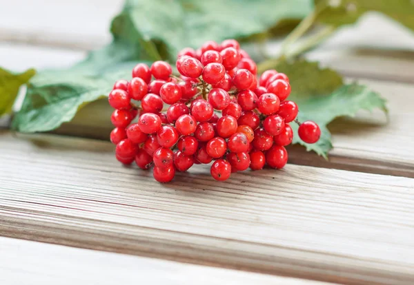 Bunch of viburnum with leaves on wooden background, fresh red berries. The concept of healthy eating. Natural organic food. — Stock Photo, Image