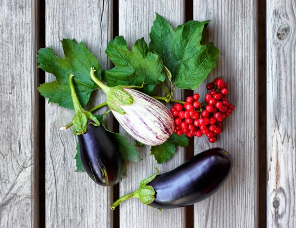 Eggplants and viburnum berries with leaves on wooden background. The concept of healthy eating. Natural organic food. — Stock Photo, Image