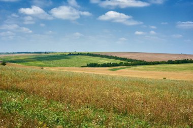 güzel bahar manzara, yeşil alan ve parlak bulutlu gökyüzü