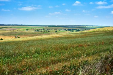 güzel bahar manzara, yeşil alan ve parlak bulutlu gökyüzü